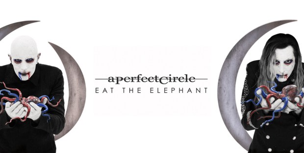 aperfect-circle-eat-the-elephant-feature.jpg